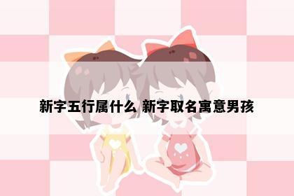 新字五行属什么 新字取名寓意男孩