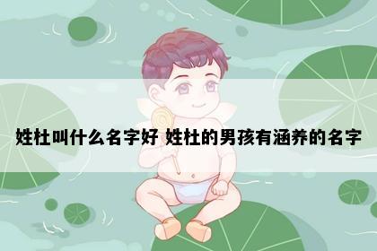 姓杜叫什么名字好 姓杜的男孩有涵养的名字