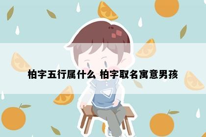 柏字五行属什么 柏字取名寓意男孩