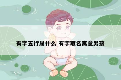 有字五行属什么 有字取名寓意男孩