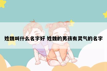 姓魏叫什么名字好 姓魏的男孩有灵气的名字