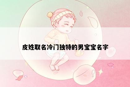 皮姓取名冷门独特的男宝宝名字