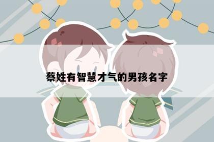 蔡姓有智慧才气的男孩名字