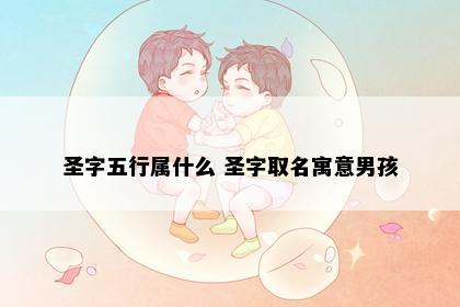 圣字五行属什么 圣字取名寓意男孩