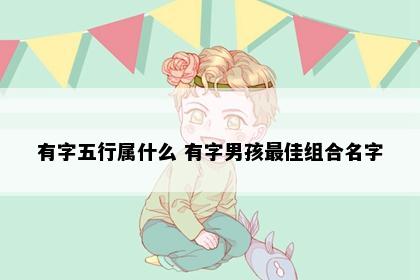 有字五行属什么 有字男孩最佳组合名字