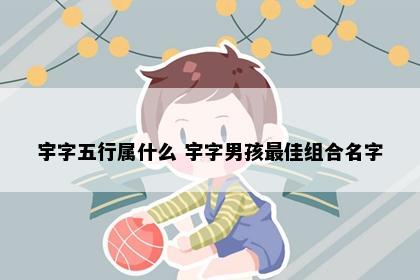 宇字五行属什么 宇字男孩最佳组合名字