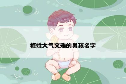梅姓大气文雅的男孩名字