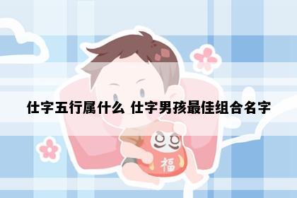 仕字五行属什么 仕字男孩最佳组合名字