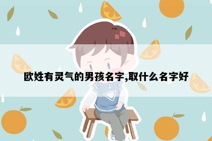 欧姓有灵气的男孩名字,取什么名字好