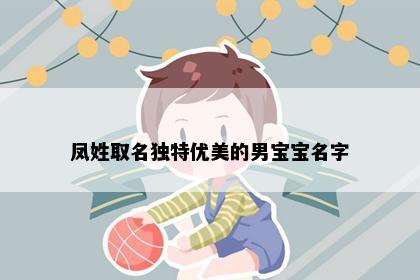 凤姓取名独特优美的男宝宝名字