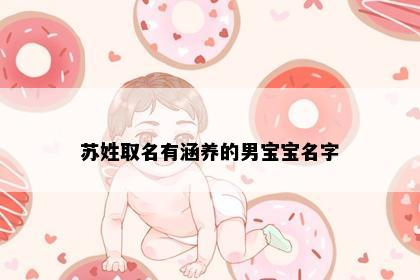 苏姓取名有涵养的男宝宝名字