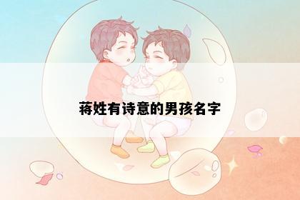蒋姓有诗意的男孩名字